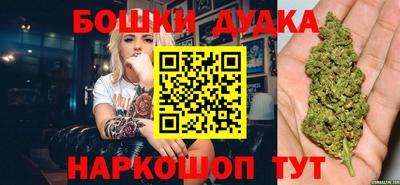 крисы Севастополь