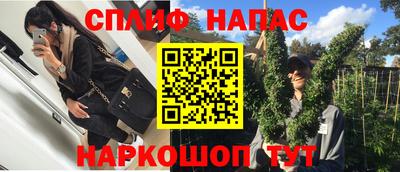 крисы Севастополь