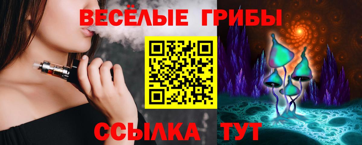 Псилоцибиновые грибы Psilocybe  Вход с VPN  Орск 